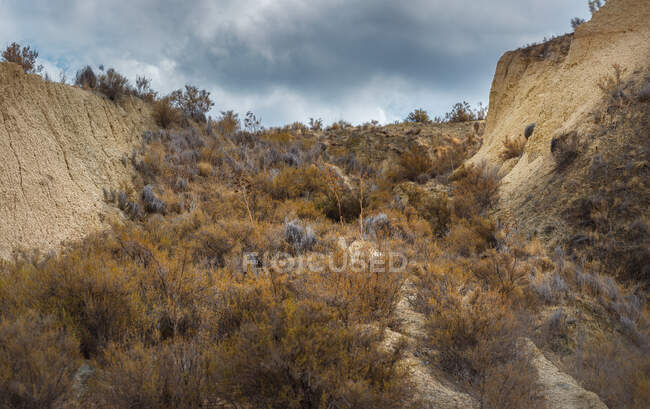 Desde abajo arbustos secos que cubren la pendiente áspera de la cresta de la montaña contra el cielo nublado en Algeciras, España - foto de stock