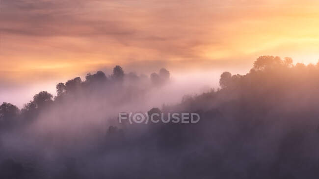 Chaîne de montagnes rugueuse avec des arbres situés contre un ciel levant brillant le matin brumeux dans la nature — Photo de stock