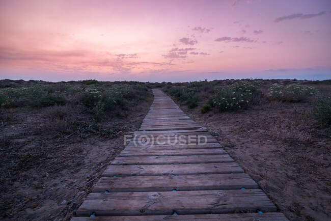 Caminho de madeira quebrada passando por um campo calmo contra o céu nublado — Fotografia de Stock