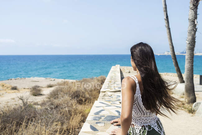 Vista posteriore di una donna ispanica dai capelli lunghi appoggiata a una parete sulla riva del mare guardando lontano verso l'orizzonte — Foto stock