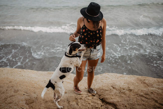 Menina da moda irreconhecível em chapéu preto e roupas casuais ao longo da costa rochosa com cão dappled obediente contra a água do mar perturbada — Fotografia de Stock