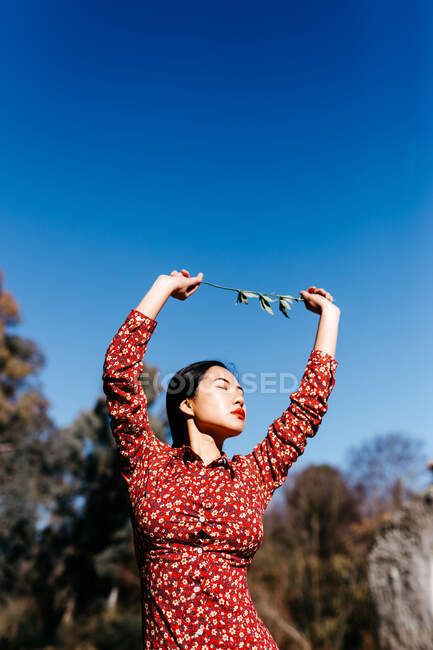 Stilvolle asiatische Frau mit geschlossenen Augen, die einen dünnen Ast in erhobenen Armen hält, während sie an einem wolkenlosen Tag in der Natur in der Nähe eines friedlichen Sees steht — Stockfoto