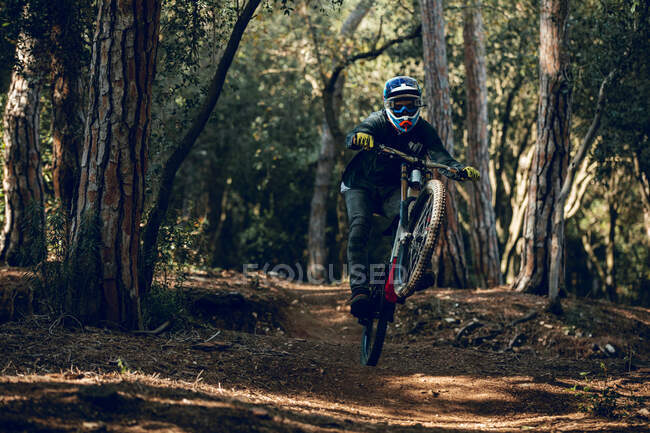 Unbekannter Mann mit Helm, Handschuhen und Schutzbrille springt beim Mountainbike-Training im Wald mit Peitsche bergab — Stockfoto