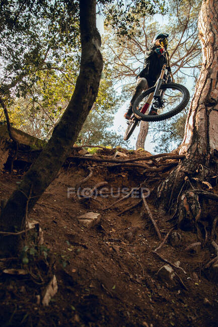 From below unrecognizable man in helmet, gloves and protection glasses jumping downhill during mountain biking practice in wood forest — Stock Photo
