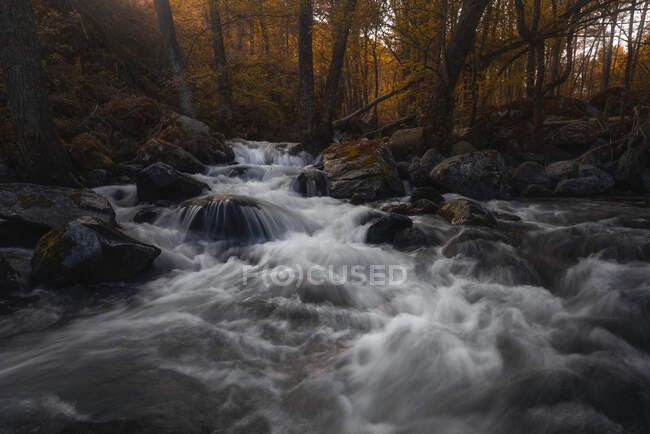 Atemberaubende Landschaft mit kleinem Wasserfall im herbstlichen dichten Wald — Stockfoto