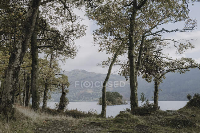 Спокойный пейзаж озера в окружении зеленого леса и туманных гор в пасмурный осенний день в Шотландии — стоковое фото