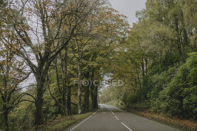 Landschaft mit kurvenreicher Asphaltstraße, die durch grünen Wald in bergigem Gelände bei bewölktem Wetter in schottischer Landschaft davonläuft — Stockfoto