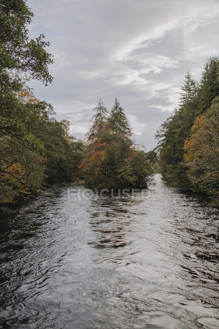 Вузька річка з темною водою, що тече серед красивих барвистих лісів в осінній день з хмарним небом — стокове фото