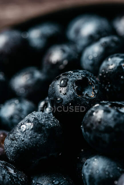 Fresh blueberry with drops of water — Stock Photo
