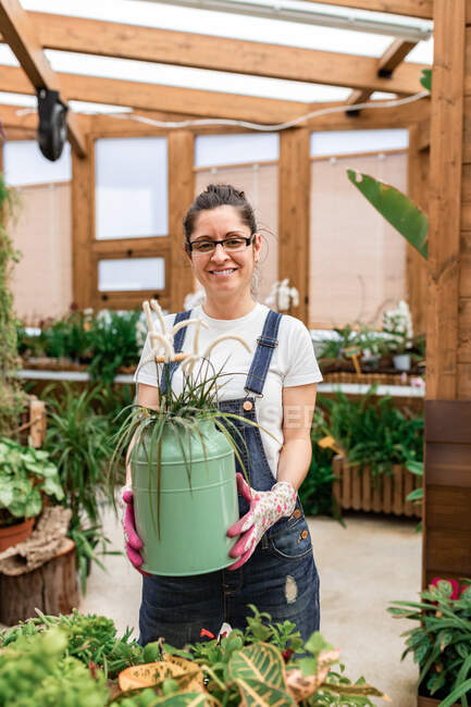Happy adult woman smiling to the camera and carrying can with blooming flower while working in terrace garden — Stock Photo