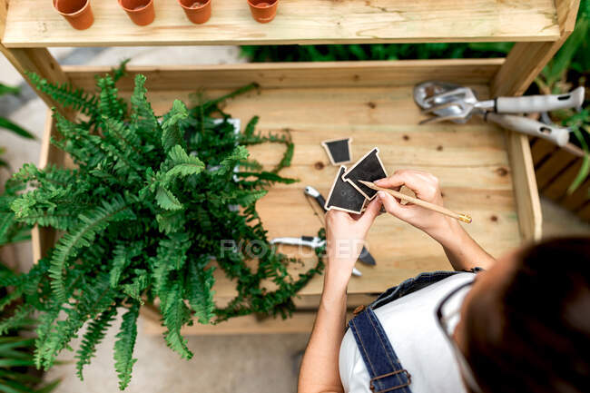 Вид зверху на анонімну жінку, яка робить нотатки на етикетках, стоячи біля дерев'яного столу з горшковою рослиною в критому саду — стокове фото