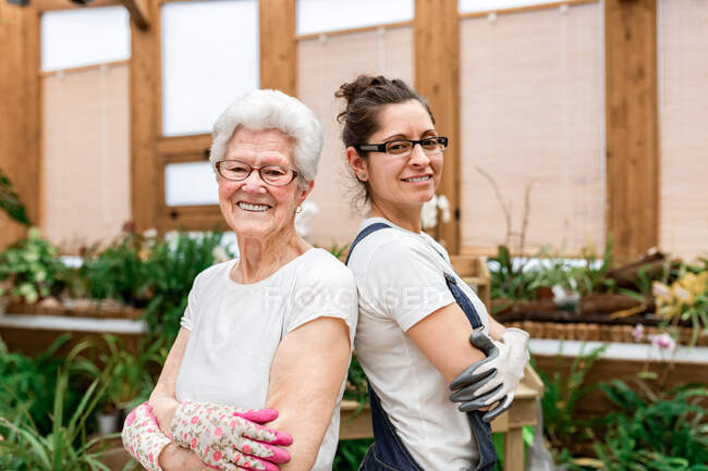 Side view of positive elderly and adult women in gloves and glasses smiling for camera and crossing arms while working in indoor garden together — Stock Photo