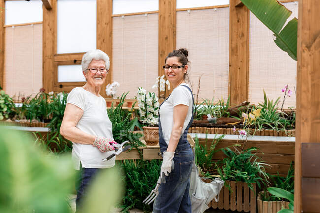 Вид сбоку положительных пожилых и взрослых женщин в перчатках и очках, улыбающихся для камеры, держащих садовые инструменты во время совместной работы в закрытом саду — стоковое фото