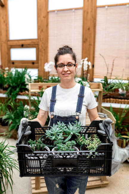 Adult happy woman smiling looking at camera and carrying plastic box with succulents while working in wooden greenhouse — Stock Photo