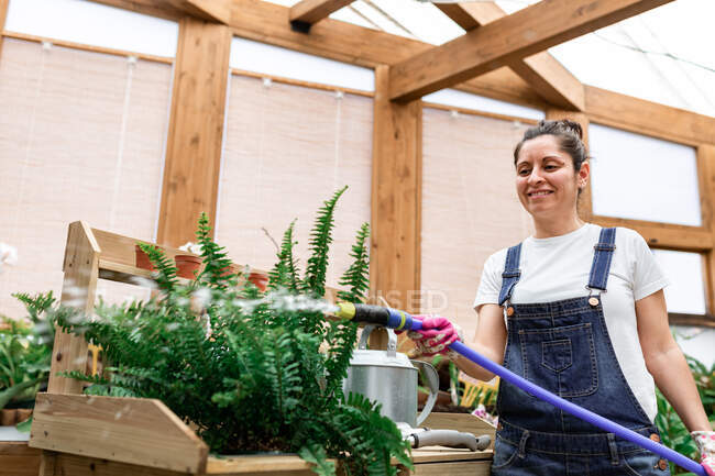 Femme heureuse dans les gants en utilisant un tuyau pour arroser les plantes pendant le travail dans le jardin intérieur — Photo de stock