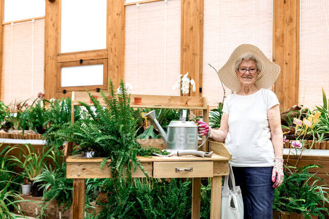 Friendly senior lady with watering can smiling and looking at camera while standing near table in lumber hothouse — Stock Photo