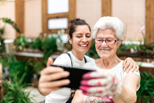 Feliz mujer adulta sonriendo y tomando selfie con un colega mayor mientras trabajan juntos en el invernadero - foto de stock