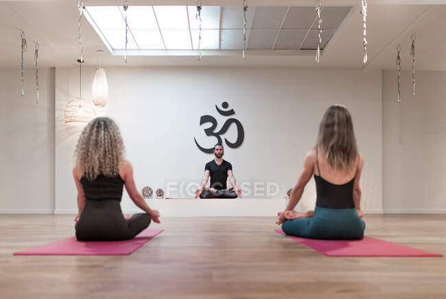 Vista posterior de las mujeres tranquilas equilibradas y el hombre sentado en la pose de loto con mudra concentrado después en la clase de yoga - foto de stock