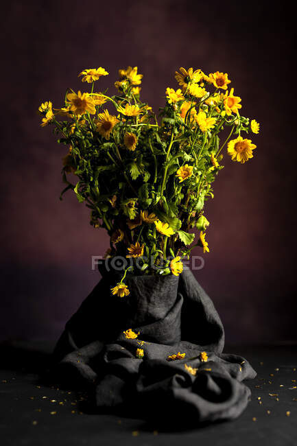Ramillete de flores frescas de margarita amarilla sobre fondo oscuro en estudio — Stock Photo