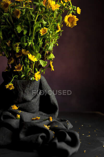 Bouquet de fleurs fraîches de marguerite jaune printemps sur fond sombre en studio — Photo de stock