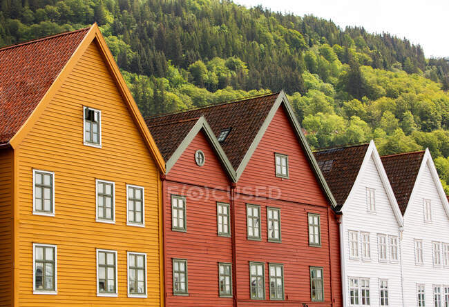 Экстерьер красочных малоэтажных жилых таунхаусов, построенных рядом с холмом, покрытым зелеными деревьями в летний день в пригороде — стоковое фото