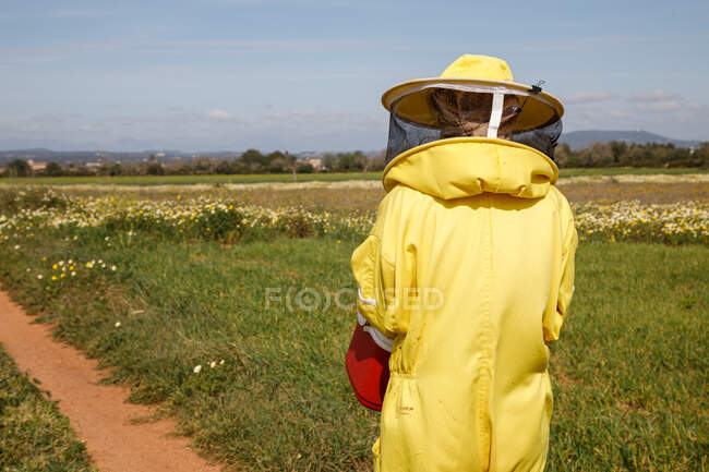 Обратный вид на неузнаваемого пчеловода в профессиональном желтом костюме, несущего пластиковый контейнер во время прогулки по зеленому полю в солнечный летний день — стоковое фото