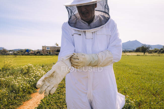 Homem apicultor em traje branco colocando luvas de proteção enquanto em pé no prado gramado verde e se preparando para trabalhar no apiário — Fotografia de Stock