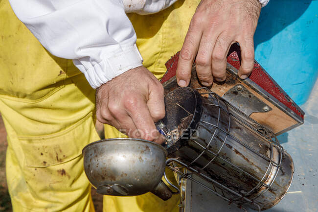Primo piano del raccolto anonimo apicoltore maschio fare fuoco sul fumatore di api mentre si lavora su apiario — Foto stock
