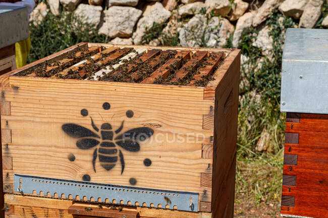 Closeup of new wooden honeycomb beehive box with bees placed in apiary in sunny summer day — Stock Photo