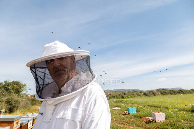 Зрелый пчеловод в белом защитном костюме и маске смотрит в камеру, стоя на пасеке с пчелами, летающими в летний день — стоковое фото