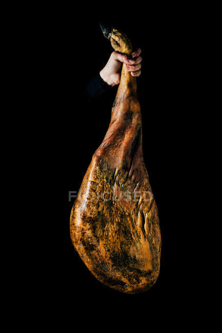 Crop unrecognizable person hand holding up a whole dry-cured ham leg on a black background — Stock Photo