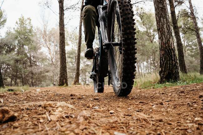 Cycliste vélo sur piste rocheuse en forêt — Photo de stock