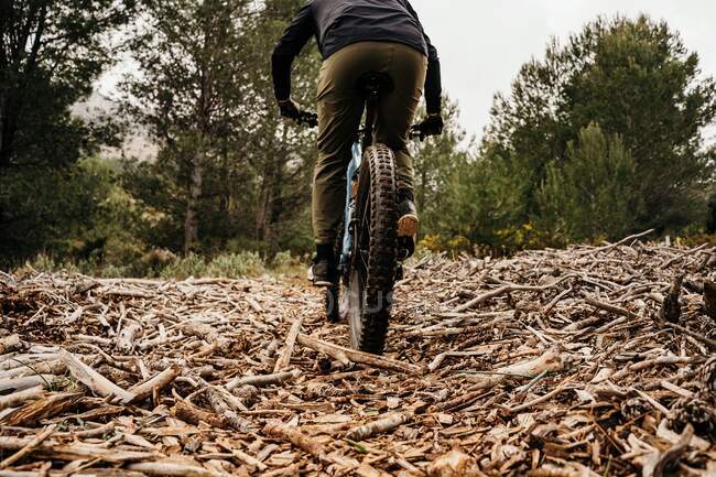 Bicicleta ciclista en ruta rocosa en el bosque - foto de stock