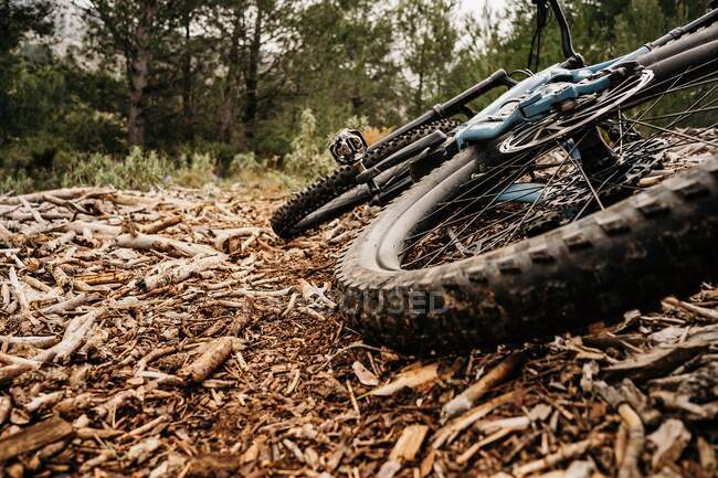 Bicicleta en madera seca en el bosque - foto de stock