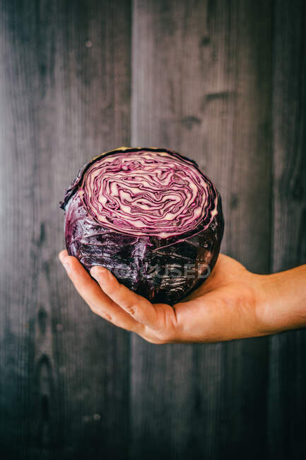 Unrecognizable person grasping and showing healthy fresh red cabbage against black lumber wall while being on diet — Stock Photo