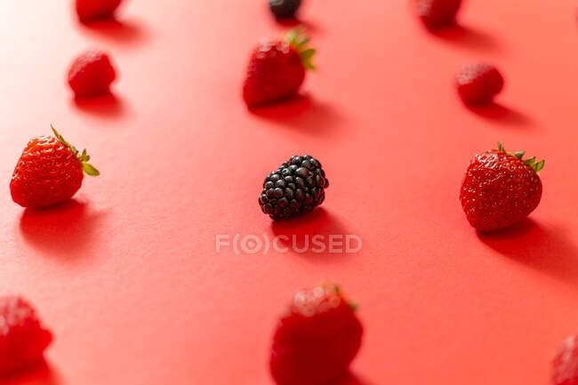 Свіжа ожина, розміщена відповідно до стиглої полуниці в літніх ягодах композиції на фоні червоної поверхні — стокове фото