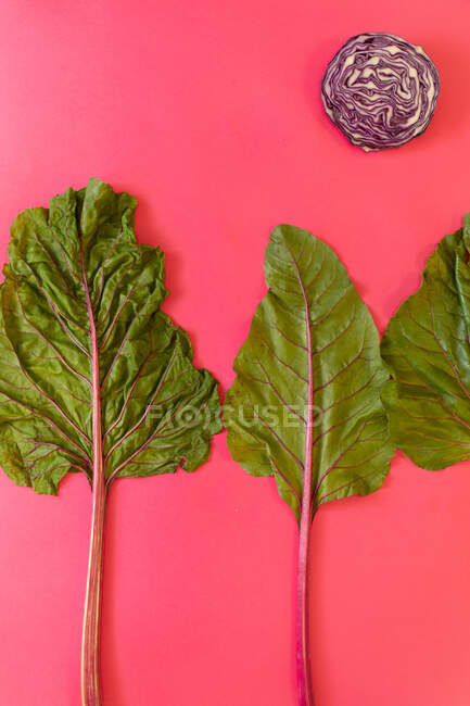 From above fresh beetroot leaves placed near half of ripe red cabbage on bright pink background — Stock Photo