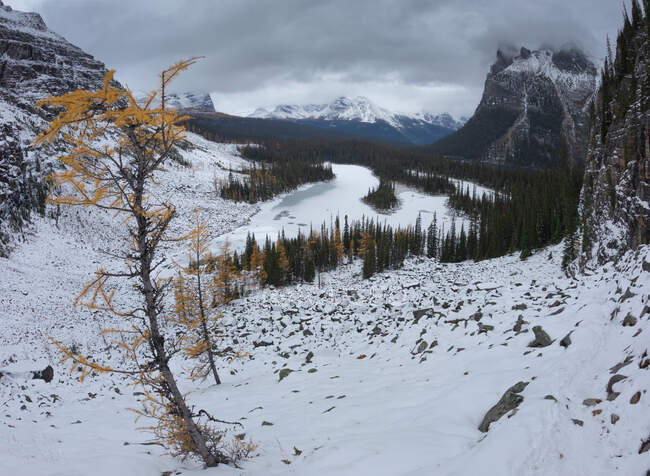 Au-dessus des montagnes enneigées et de la vallée bâclée avec une forêt sempervirente par temps couvert — Photo de stock