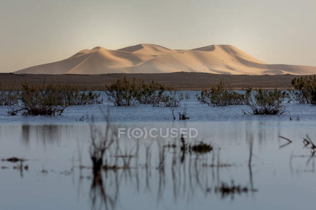 Superficie dell'acqua vicino alla riva con dune di montagna sabbiose nel deserto — Foto stock