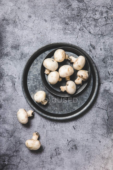 Fresh Mushrooms on grey table — Stock Photo