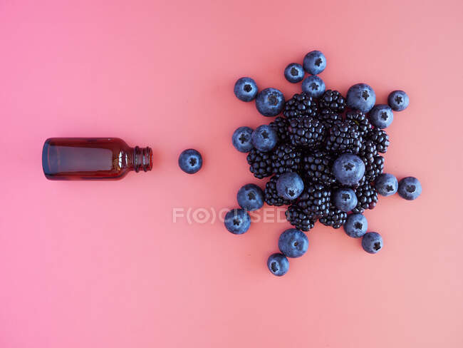 Myrtilles et mûres avec petite bouteille en verre sur fond rose — Photo de stock