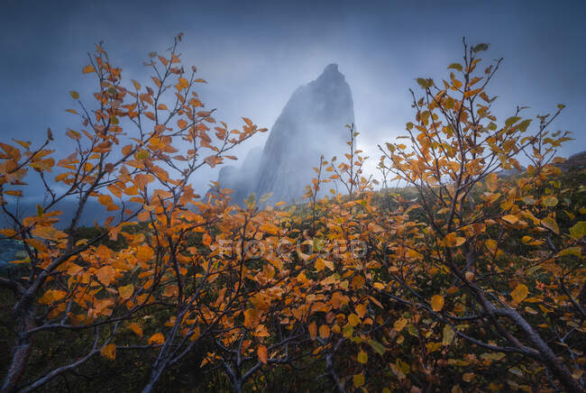 Segla montaña situada en valle herboso cerca de la cuenca tranquila contra el cielo oscuro nublado en la isla de Senja, Noruega - foto de stock