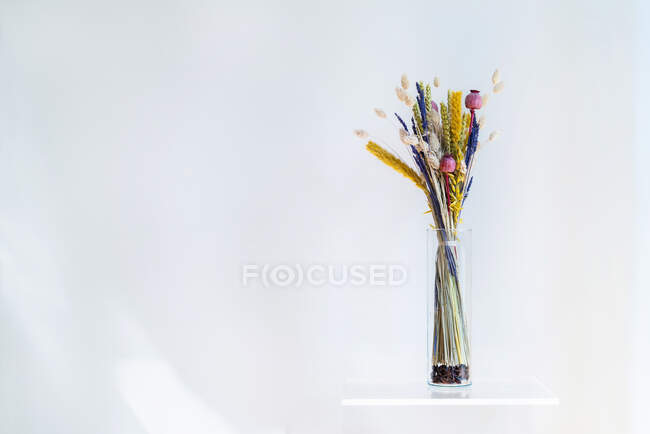 Mensola con vaso di fiori secchi su parete bianca — Foto stock