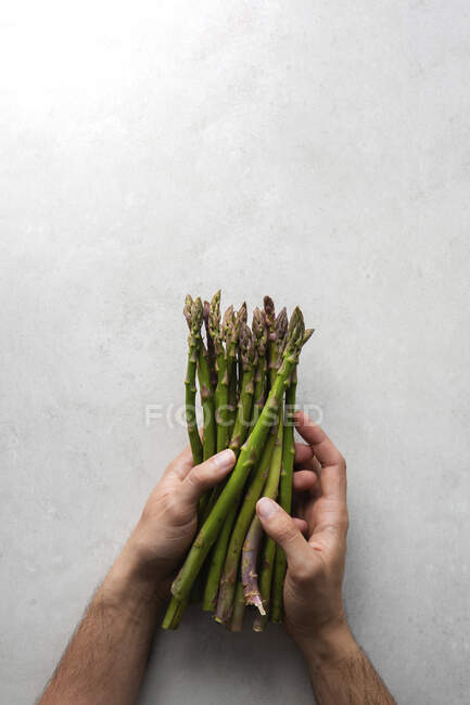 Mains tenant un bouquet d'asperges fraîches — Photo de stock