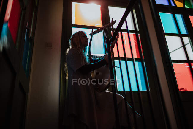 Mulher com lira em pé perto de vitrais — Fotografia de Stock