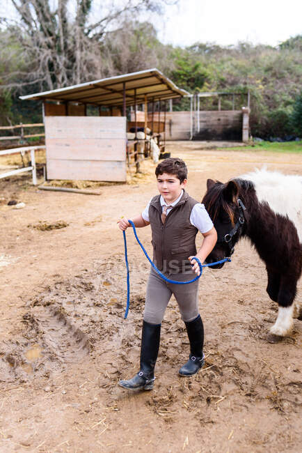 Boy in jockey suit and helmet leading roan pony while walking on sandy ground of dressage arena in equestrian school — Stock Photo