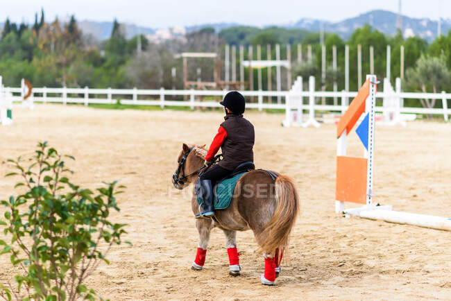 Back view of unrecognizable child in jockey costume sitting in saddle of a pony during lesson in horseback riding school — Stock Photo