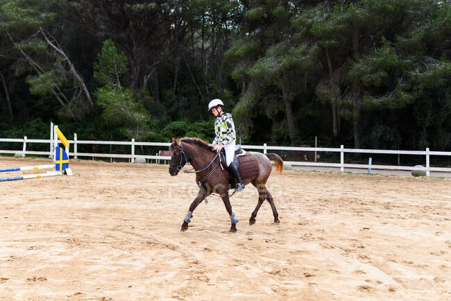Giovanissima ragazzo fantino in casco equitazione marrone cavallo su dressage arena durante formazione in equestre scuola — Foto stock