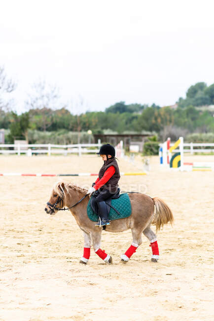 Vue latérale de l'enfant en costume de jockey assis en selle d'un poney pendant les cours d'école d'équitation — Photo de stock