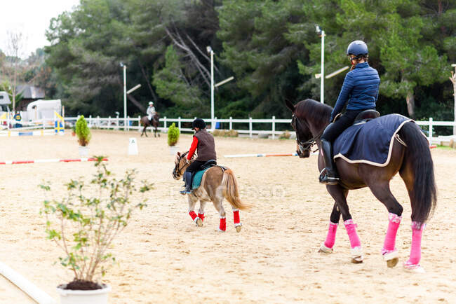 Back view of boy on roan pony and teen girl on brown horse riding horses on dressage arena during lesson in equestrian school — Stock Photo